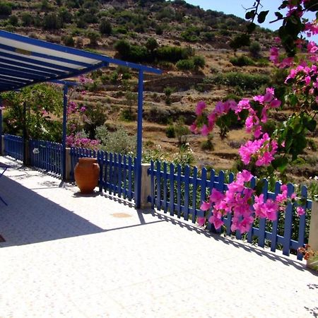 Villa Costa Studios Vathi  Esterno foto