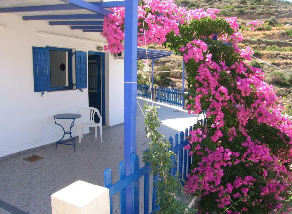 Villa Costa Studios Vathi  Esterno foto