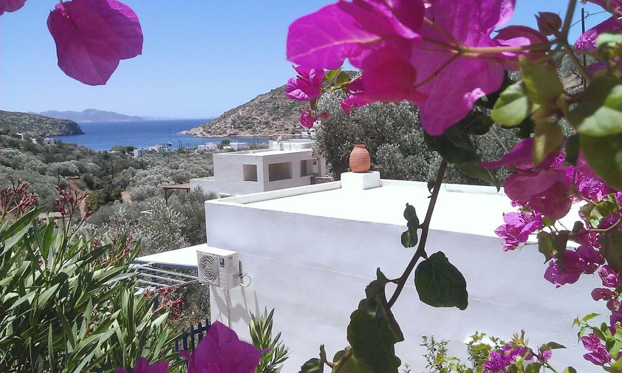 Villa Costa Studios Vathi  Esterno foto